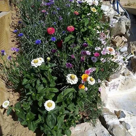 Fraisier, Artres - Valenciennes Privat bolig *